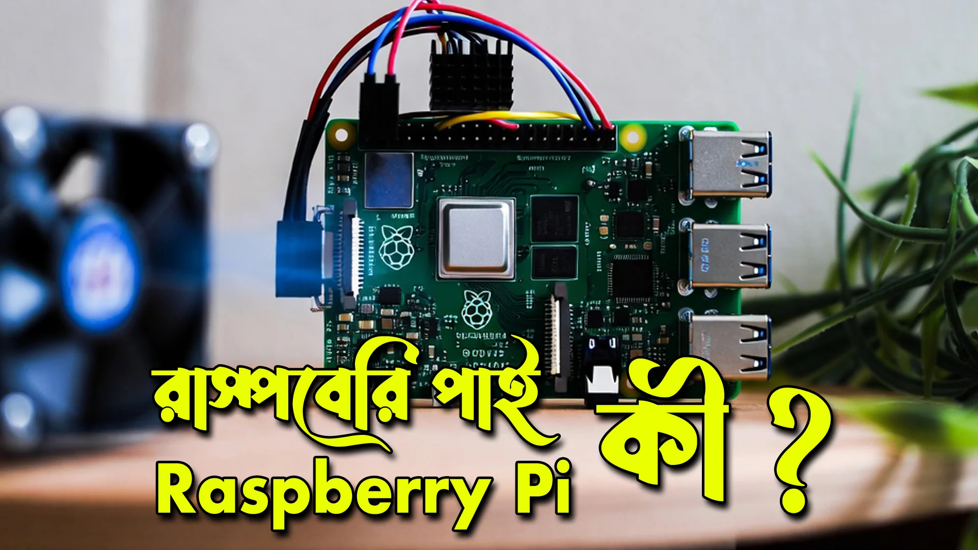 রাস্পবেরি পাই (Raspberry Pi) কি